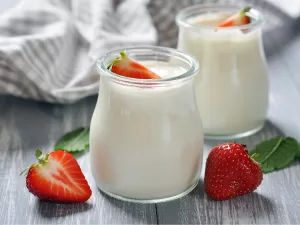 Sữa chua là một trong những chế phẩm từ sữa phổ biến nhất trên thế giới hiện nay